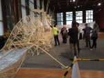 NSBJ-beest-suspendisse