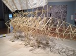 NSBJ_CCC-beest-animarisadulari