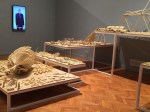 NSBJ_CCC-strandbeests-parts